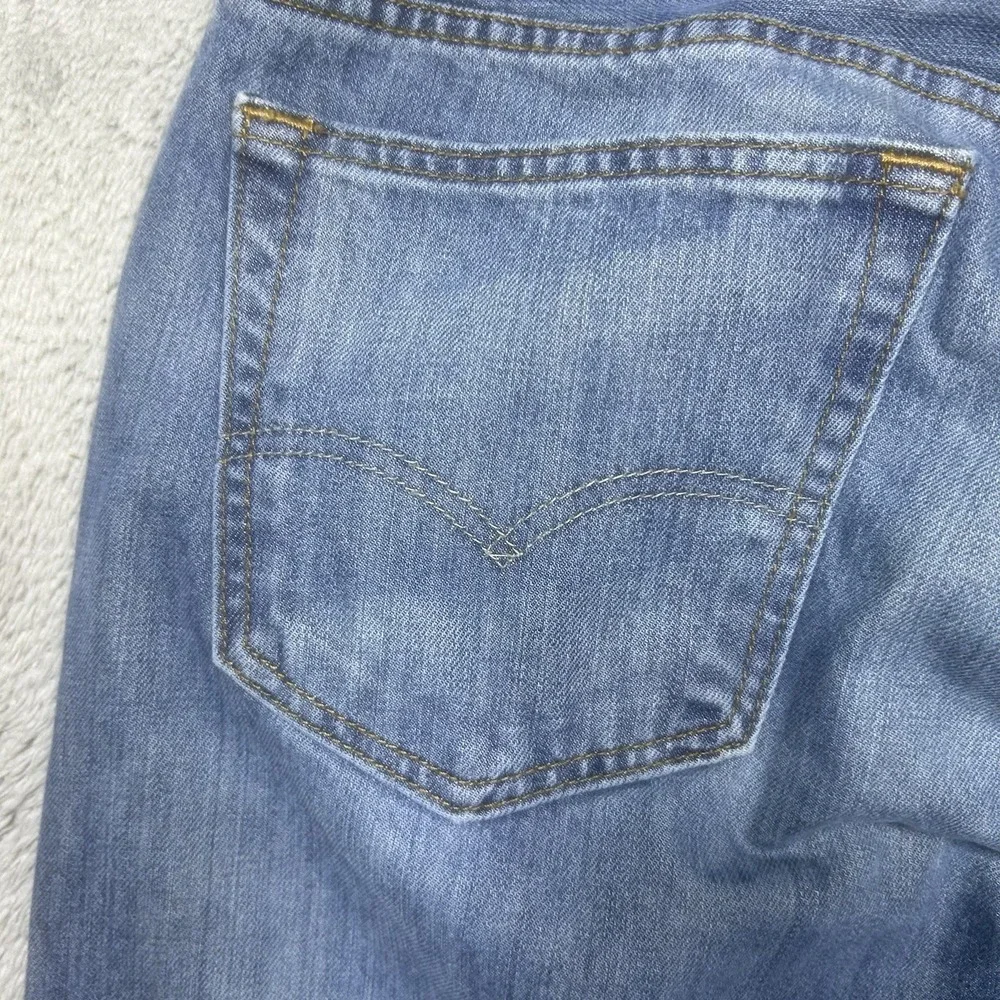 Levis levis 569